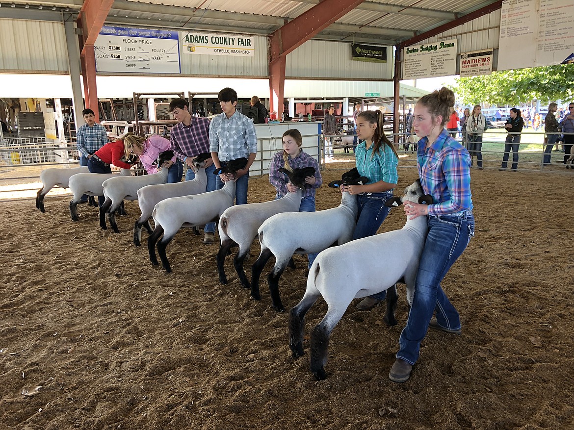 Organizers reflect on the Othello Fair’s history Basin Business